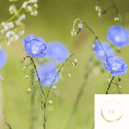 Relaxation sophrologique à Istres en extérieur