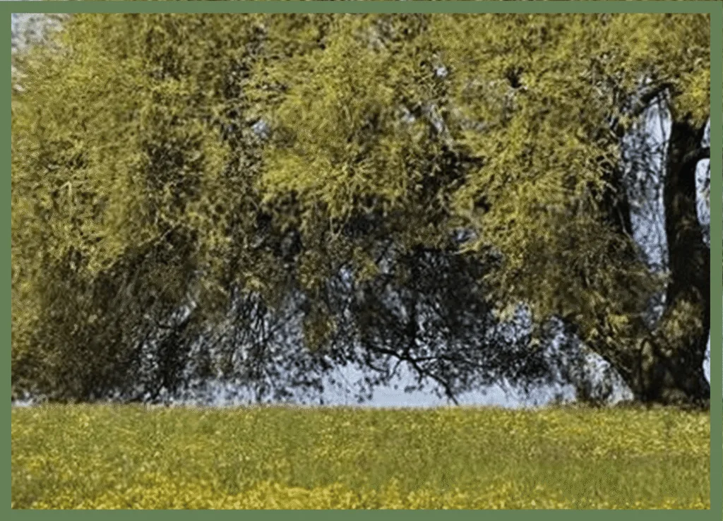 10 avantages de la relaxation dynamique