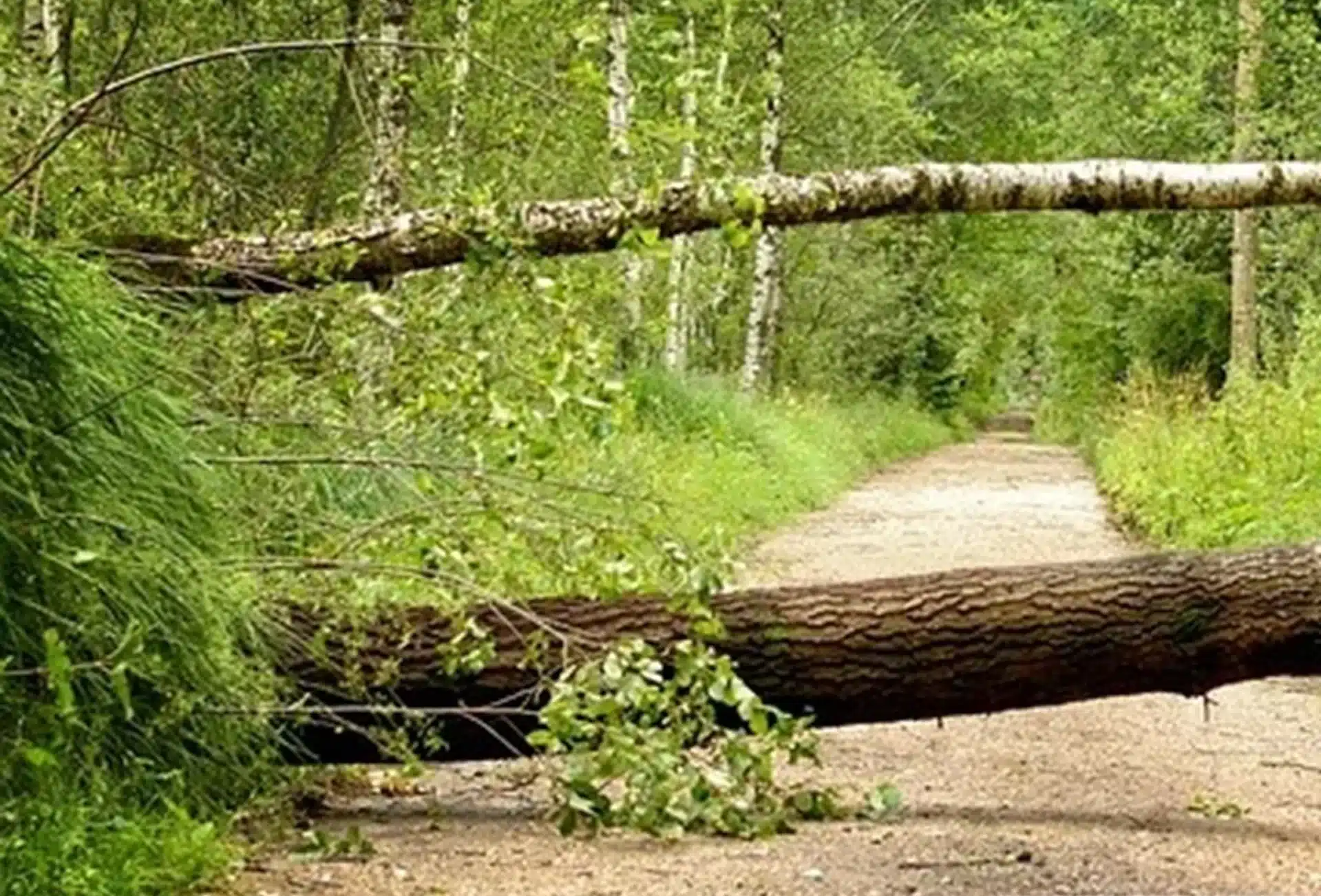 handicap soudain soutien thérapeutique avec la Gestalt-thérapie