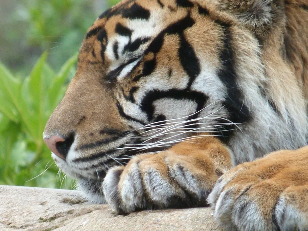 exercice anti stress