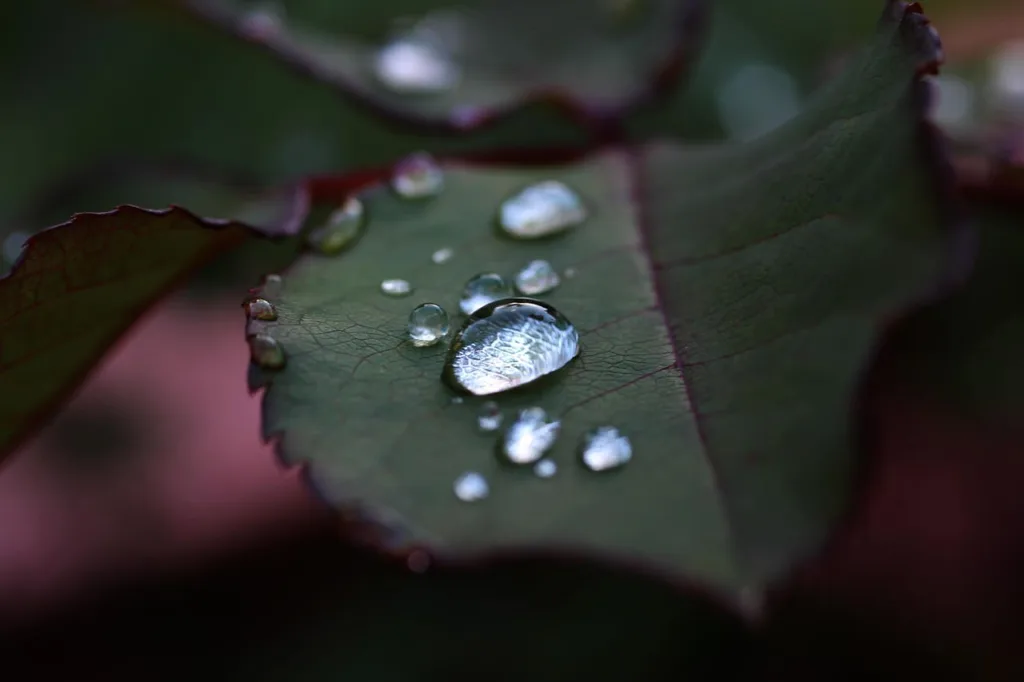 vivre autrement après un burn out