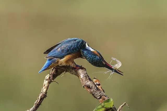 Lâcher prise y arriver : une brève déculpabilisante de Catherine Coker à Istres