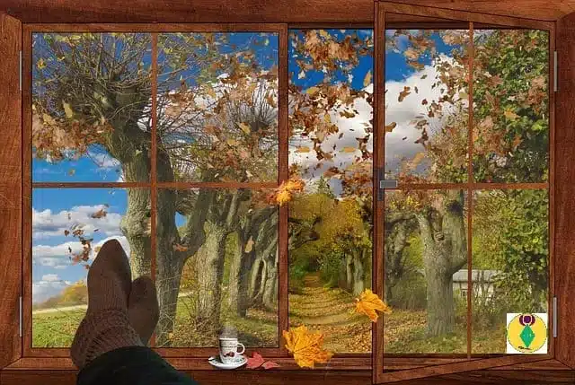 Thérapie émotionnelle à Istres pour être serein, les pieds en éventail