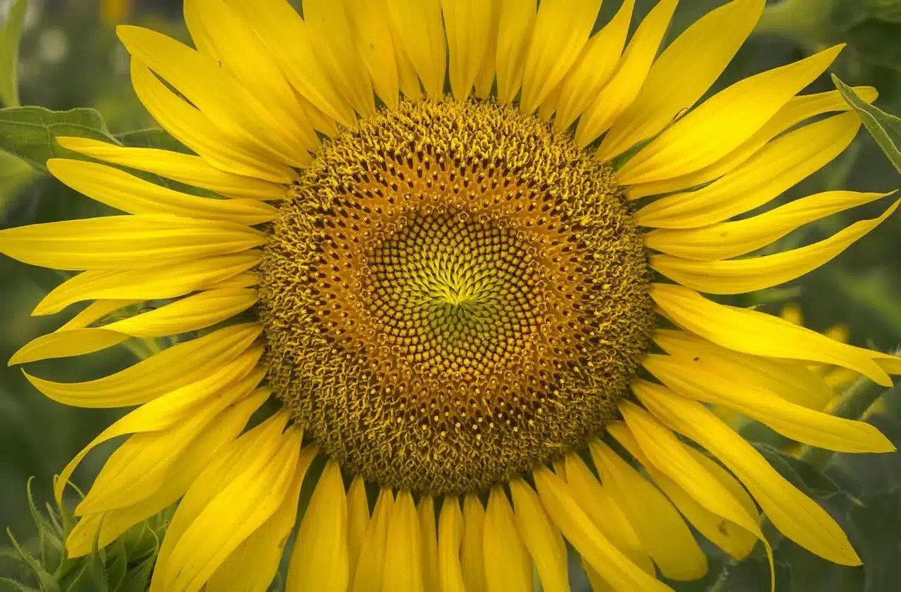 Gestalt thérapie à Istres