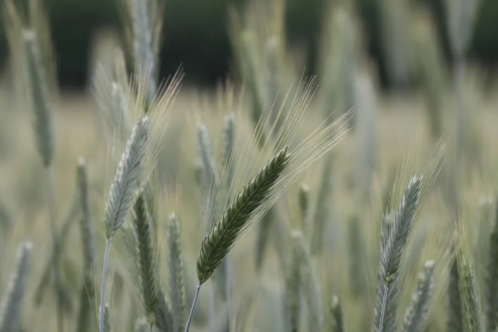 Gesalt-thérapie et foi catholique : sont-elles compatibles
