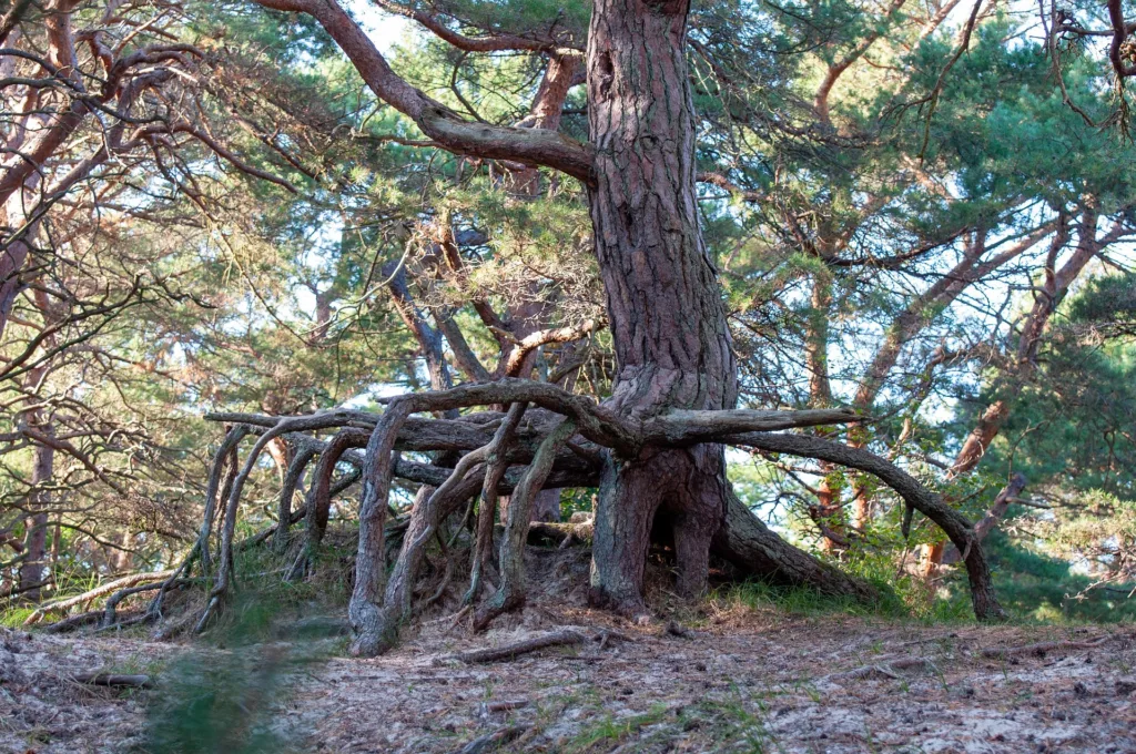 Retrouver confiance en soi après 45 ans