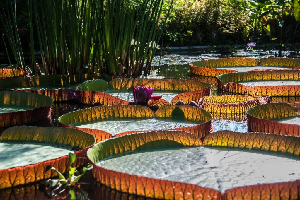 Gestalt-thérapie et foi catholique : sont-elles compatibles