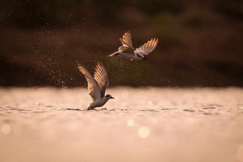 comprendre le traumatisme, laisser derriere soi