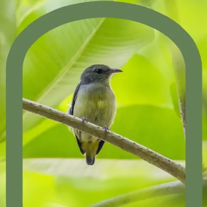 Atelier thé pardon Istres