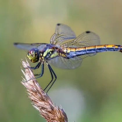 lâcher-prise y arriver