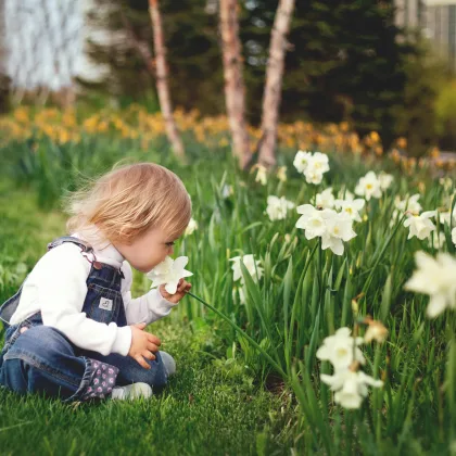 retrouver la curiosité, se revitaliser