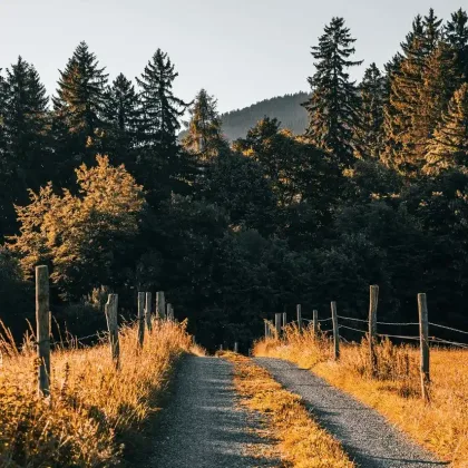 vivre autrement après un burn out